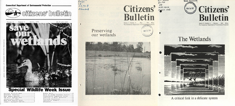 Julia Stewart, former social science and government documents research librarian at Southern Methodist University Libraries, is ready for the next adventure in her professional life.