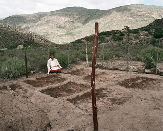 David Goldblatt, Anna Boois, a goat farmer, one of 14 women given land by the government, with her birthday cake and vegetable garden on her farm Klein Karoo, Kamiesberge, Northern Cape (2003).